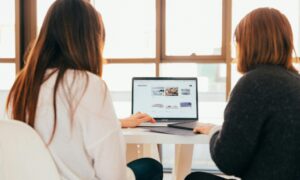 Consulting Best Practices Initiative 2017 Briefing Paper